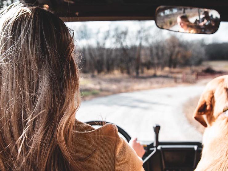  🚗 Best 6 Road Trip Games For Everyone