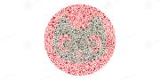 Color blind test | Take the Ishihara test now!