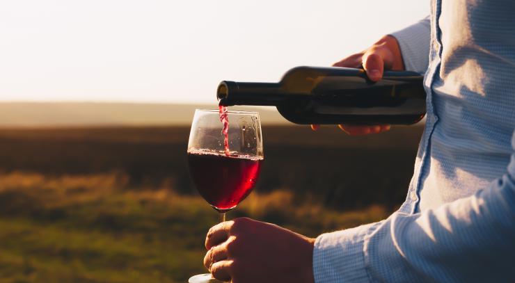 Teste Deinen Wein IQ: Das ultimative Quiz für Weinliebhaber