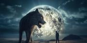 Тест: У яку тварину ви перетворюєтеся під повним місяцем?