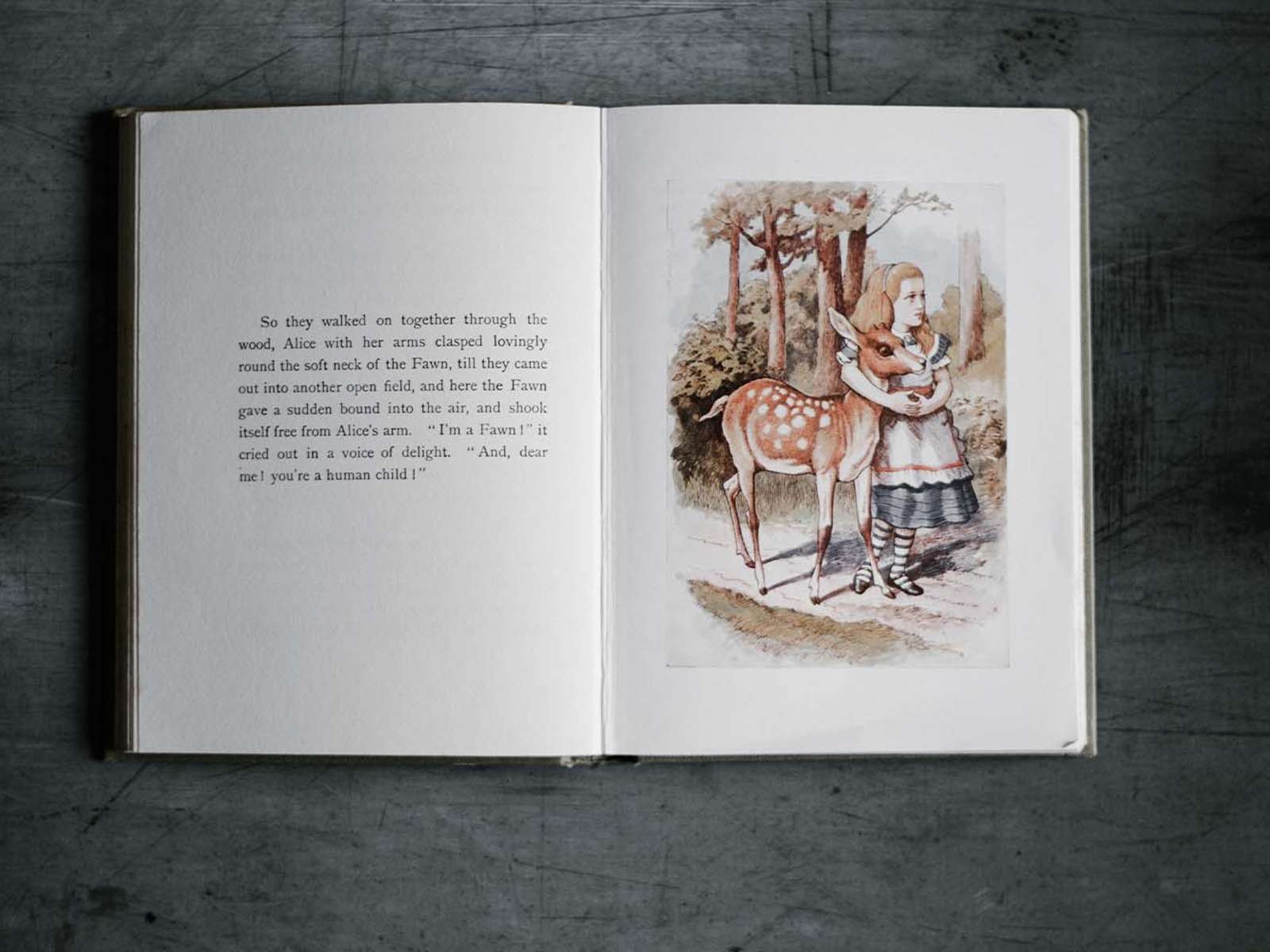 Un bar inspirado en Alicia en el País de las Maravillas llega a Nueva York  » Intriper, image size:1600x1200