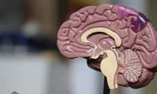 Best Brain Games: Train your Brain