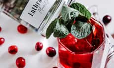 I 5 migliori cocktail di vodka: ricette e raccomandazioni