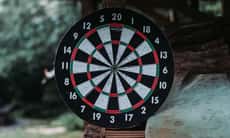 Dart 501