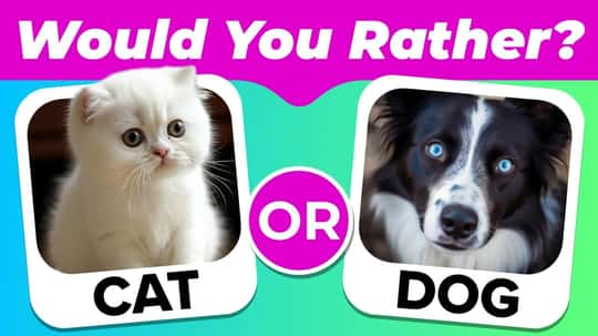 Would You Rather