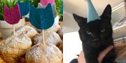 Katzenparty: DIY, Dekoration, Rezepte und vieles mehr