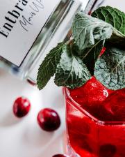 I 5 migliori cocktail di vodka: ricette e raccomandazioni
