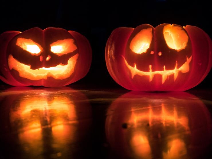 Gry o piciu horrorów: 25 zasad na Halloween Filmach