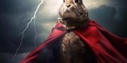 Quiz: Discover your animal superpower!