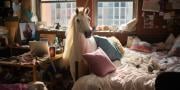 Unleash the magic: find your perfect mythical roommate!
