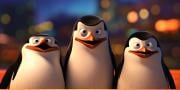 Tietokilpailu: MikÃ¤ Madagaskarin pingviini sinÃ¤ olet?